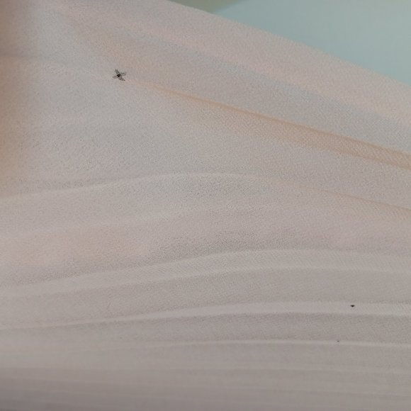 Betsey Johnson Dress NWT - Picture 4 of 5